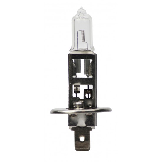 M-Tech H1 24V 70W P14.5s Z901 halogeninė lemputė (1vnt.)